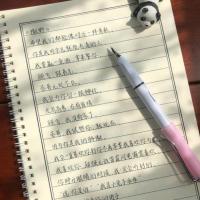 瑾鲤体[送临摹纸 无笔] 瑾鲤体手写字帖女生字体漂亮练字楷书行楷行书硬笔书法成年男钢笔