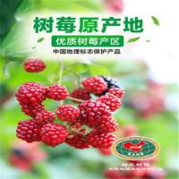 30g 生命果覆盆子树莓干果山莓冻干山月莓干泡茶苏梵莓三锦莓绿色认证