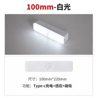 白光 10厘米感应款 人体感应小夜灯家用过道楼梯声控智能楼道光控长条床头灯衣柜充电
