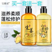 生姜洗发水300ML 姜多多洗发水生姜山茶籽油护发素套装组合轻柔洗护套装滋润修护