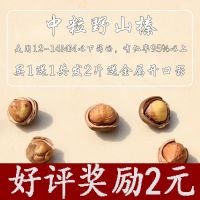 炒熟裂痕榛子[手拍] 优先小号榛子半斤装[新货] 野队榛子东北特产山榛子水漏铁岭臻子平榛子原味炒熟买1斤送1斤