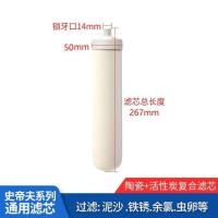 史帝夫净水器专用陶瓷滤芯1只 史帝夫净水器原装陶瓷滤芯配件家用直饮史蒂夫sat900-11过滤芯