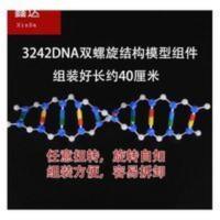 DNA双螺旋结构模型 DNA双螺旋结构模型组件高中生物分子模型教学仪器实验器材