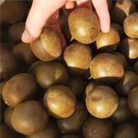 30-35mm未授粉罗汉果30个 罗百合广西桂林野生罗汉果干果果广西桂林特产罗汉果茶搭胖大海