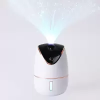 满天星加湿器(白色)电池款 满天星加湿器USB充电学生便携补水喷雾器大容量家居空气净化器