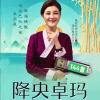 128MB降央卓玛144首U盘无视频 降央卓玛专辑U盘走天涯西海情歌乌兰巴托的夜卓玛敖包相会音频mp3