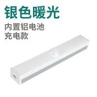 暖光(质感银) 10CM[人体感应 5%喜爱] 智能人体感应灯全自动超亮家用充电小夜灯床头灯房间少女心不插电