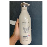 (精油款)去屑洗发 300 林肯洗发水持久留香精油洗护祛屑轻柔控油顺滑护发素套装