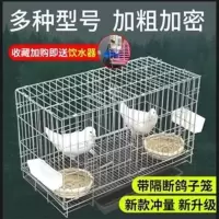 超小型35*26*33 粪盘 鸽子笼养殖笼家用大号特大繁殖配对鸽子笼大型不锈钢色鸽子笼鸟笼