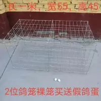 2位笼裸笼+卡扣 鸽子笼2位4位6位笼阳台鸽子笼鸽子配对笼繁殖笼宠物笼