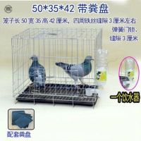 50X35X42带粪盘 大号加粗鸽子用品用具12位16位养殖鸽子笼信鸽配对笼肉鸽繁殖