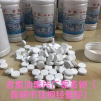 套餐一 1瓶 100克 泡腾片84消毒片 含氯幼儿园学校杀菌漂白游泳池餐具厕所衣物 除菌