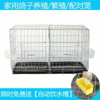 小号50*34*40cm 带粪盘+食曹 沙杯 鸽子笼家用配对养殖全套笼子不锈钢色大型信鸽白鸽铁折叠鸟笼鸽子
