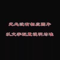 2位裸笼 鸽子笼加粗2位4位6位鸽子巢箱阳台鸽子配对笼养殖笼鸟笼大号包