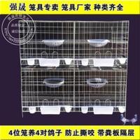 4位裸笼 强晟鸽笼加粗4位鸽子笼肉鸽繁殖笼阳鸽笼种鸽笼养殖笼配对笼实用.