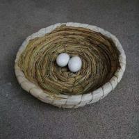 瑕庛稻草玉米平底窝10个一件 赛鸽鸽子鸽具配对巢箱养殖木质用品木子