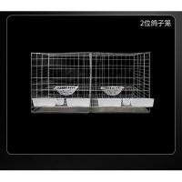 花色2位+四件套 顺丰大号鸽子用品用具12位16位养殖鸽子笼信鸽配对笼肉鸽繁殖笼子