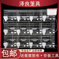 运输笼 鸽子笼子大号家用配对笼养殖繁殖笼信鸽肉鸽乳鸽专用鸽笼自动全套