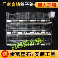 加粗6位全套配件无水箱 鸽子笼养殖笼养鸽子的笼子16位肉种鸽繁殖笼12位配对笼家用信鸽笼