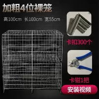 加粗4位1.0米高裸笼 鸽子笼家用鸽棚鸽子笼子大号养鸽笼鸽笼网鸽子配对笼肉鸽笼养殖笼