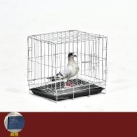 小号运输笼35*25*30 带粪盘 鸽子笼家用配对养殖全套笼子不锈钢色大型信鸽白鸽铁折叠鸟笼鸽子