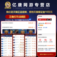 王者荣耀代练 王者荣耀代练刷等级经验赏金玩上分巅峰赛成就打英雄战力令熟练度