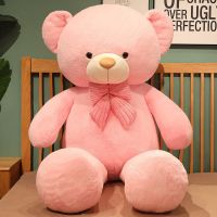 粉色 60厘米 (较小哦) 正版毛绒玩具熊公仔泰迪熊娃娃抱抱熊玩偶女生床上睡觉抱生日礼物