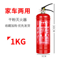 灭火器1kg(年检审车) 灭火器4公斤干粉商用家用工厂手提式车用1/2/3/5kg认证消防器材