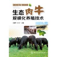 正版 生态肉牛规模化养殖技术 肉牛饲养技术 畜牧业养殖 牛舍设计及建设犊牛的饲养管理 肉牛疫病标准化防制技术 肉牛常见