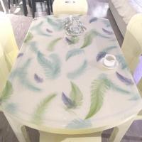 椭圆形餐桌垫PVC软玻璃透明垫伸缩折叠圆桌桌布防水防油防烫桌垫 浅绿-羽毛1.0mm 圆形50cm