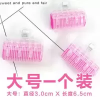 [不伤发卷发神器]懒人自动卷发器塑料卷发筒波浪干湿蜗牛卷发棒 1个大卷发器