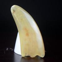 天然牛角头皮按摩梳子头部穴位经络梳刮痧板颈椎淋巴排毒专用宽齿 牛角三角刮痧片 只有梳子
