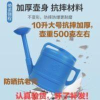 10升园艺抗摔加厚大容量洒水壶大号浇菜浇花经典水壶大号花洒壶 10升园艺抗摔加厚大容量洒水壶大号浇菜浇花经典水壶大号花洒