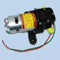 农用电动喷雾器高压水泵大功率12v高压智能型电动喷雾器电机水泵 水泵2900
