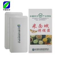 诱尔米面蛾诱捕器除灭驱粉斑螟谷螟飞蛾米虫蛾子小飞虫防捕粘板器 2片装带芯加强型 一盒