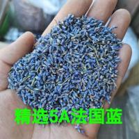 薰衣草干花粒500g100g香包枕头香薰助新疆眠薰衣草驱蚊天然香料 薰衣草100克[精选法国兰]