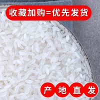 五常稻花香大米5斤10斤20斤东北长粒香米批发农家自产2021年新米 五常.长粒-香5*斤[亏本+甩卖]