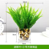仿真植物假玻璃摆件客厅办公室桌面小盆栽室内装饰花多肉家居饰品 波斯叶+小号方玻璃盆