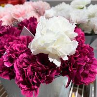 宜家IKEA 维利斯塔花瓶 透明玻璃花瓶家居装饰 简约透明 (白色)康乃馨仿真花