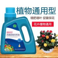 发财树专用营养液 金钱树幸福树专用营养液肥料营养液肥复合肥 通用营养液