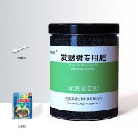 发财树专用肥料颗粒固体肥营养液黄叶绿叶施肥盆景 复合肥有机肥 发财树肥料1罐500克