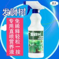 发财树专用营养液 金钱树幸福树专用营养液肥料营养液肥复合肥 发财树专用营养液 金钱树幸福树专用营养液肥料营养液肥复合肥