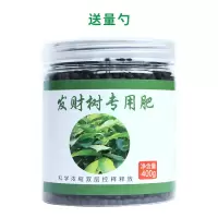 发财树专用肥料花肥有机肥开花生根缓释颗粒肥花卉植物营养液肥料 发财树专用肥1罐单个送量勺