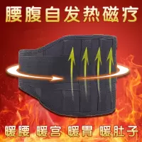 自发热护腰带磁疗保暖男女士腰间盘突出腰椎间盘钢板支撑腰疼腰凉 通用款 S码(小)