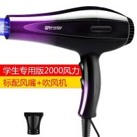 蓝光大功率电吹风机 家用发廊理发店冷热风学生宿舍不伤发顺睿筒 家用版标配