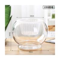 水培玻璃植物圆球花盆室内桌面摆件花卉水养器皿灯笼办公绿萝花瓶 15D台球[送篮子] 中等