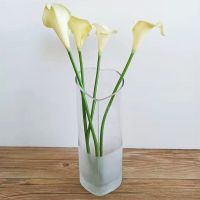 玻璃花瓶透明水培绿萝富贵竹百合欧式客厅干鲜花插花大号水晶摆件 高度25CM心形花瓶[特价]