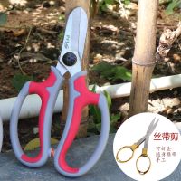 家用三件套花店专用花艺剪修枝剪新升级大号花卉剪子扦插修叶子剪 S-5CR花道剪+月芽丝带剪