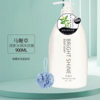 洗发水沐浴露套装两件套洗澡持久留香保湿补水干皮大容量家庭装T2 [马鞭草]沐浴露900ML