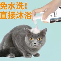 宠物干洗泡沫猫咪狗狗洗澡沐浴露幼猫犬抑菌杀螨免洗除臭宠物用品 1瓶装